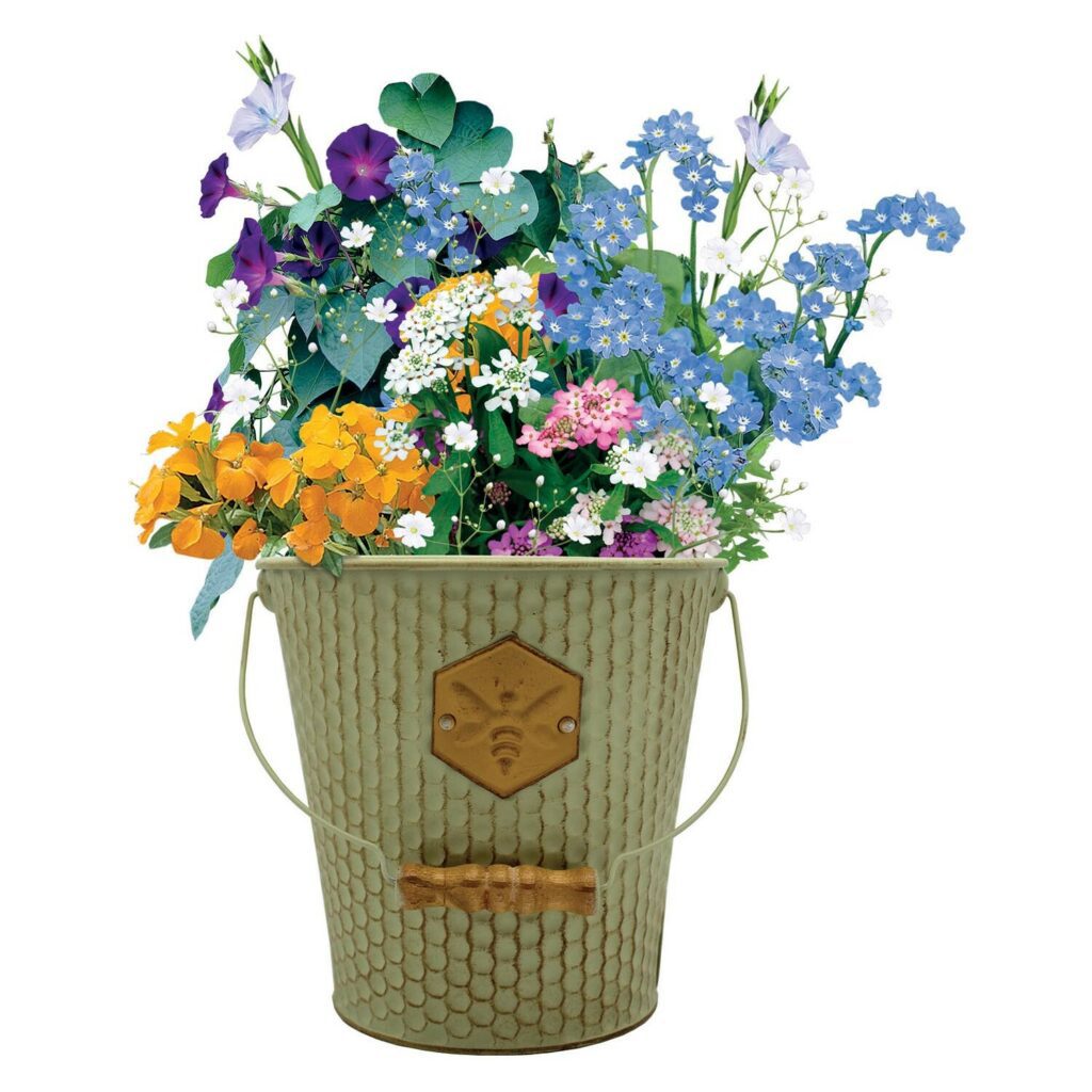 Bee Friends Honeycomb Bucket Wildflower Seed Grow Kit 5055128622837 2